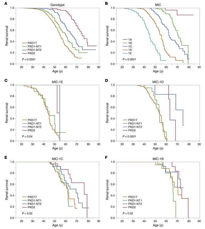 Unadjusted Kaplan-Meier renal survival analysis.
(A and B) Unadjusted Ka...