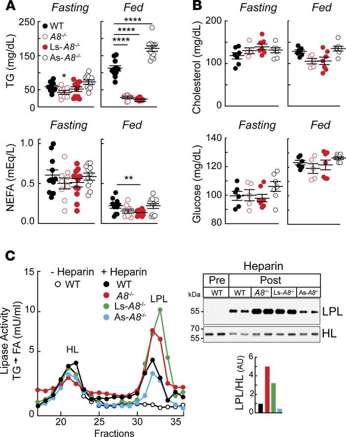 Plasma lipid and glucose levels, postheparin plasma lipase activities, a...