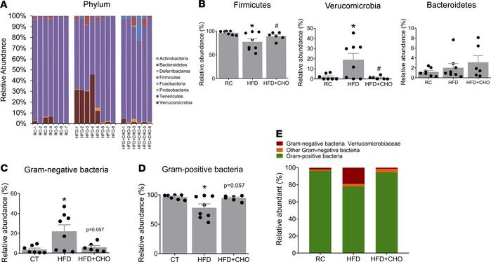 HFD-induced dysbiosis at the phylum level in the ileum mucosa is prevent...