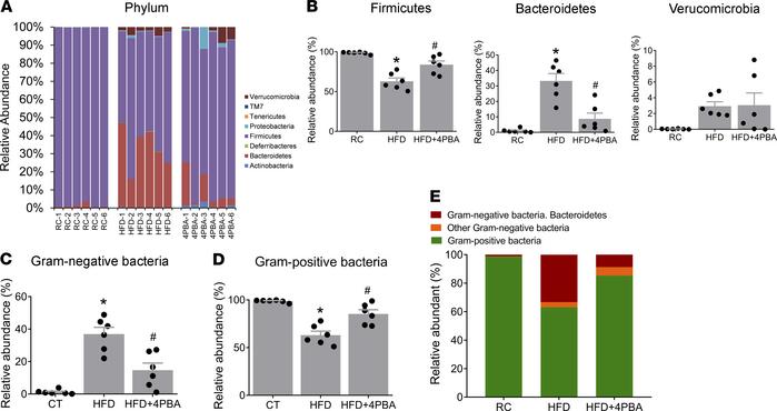 HFD-induced dysbiosis at phylum level in the ileum mucosa is prevented b...
