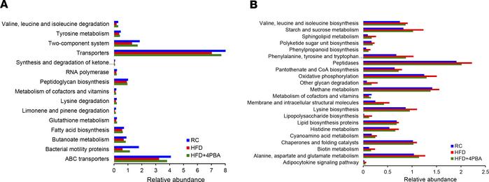 HFD altered genes from microbial community, which was prevented by 4PBA....