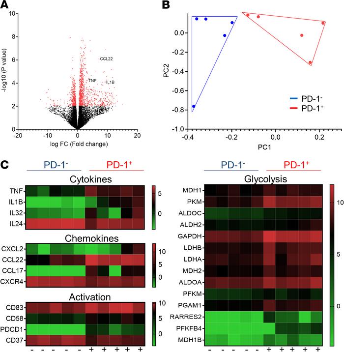 Differential gene expression of ex vivo RA patient PD-1+ and PD-1– B cel...