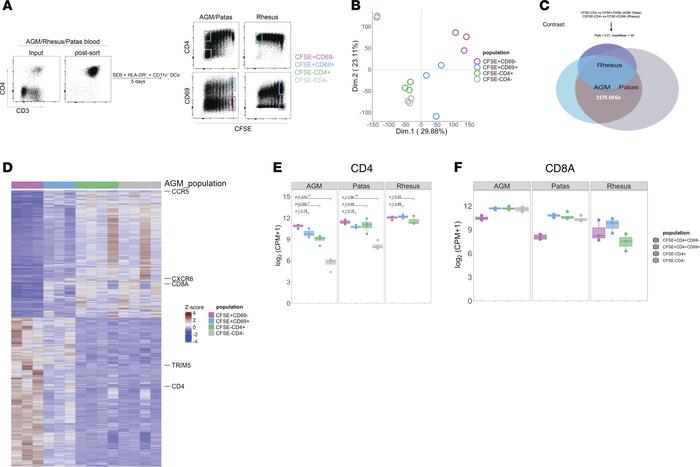 Uniquely regulated genes in natural host CD4+ T cells induced to downreg...
