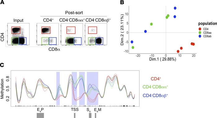 CpG methylation patterns are stably inherited in AGM CD4–CD8αα+ T cells....