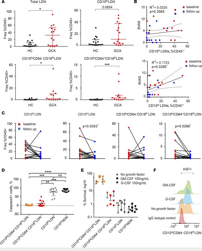 CD10lo LDNs with extended life span are clinically relevant to GCA.
(A) ...