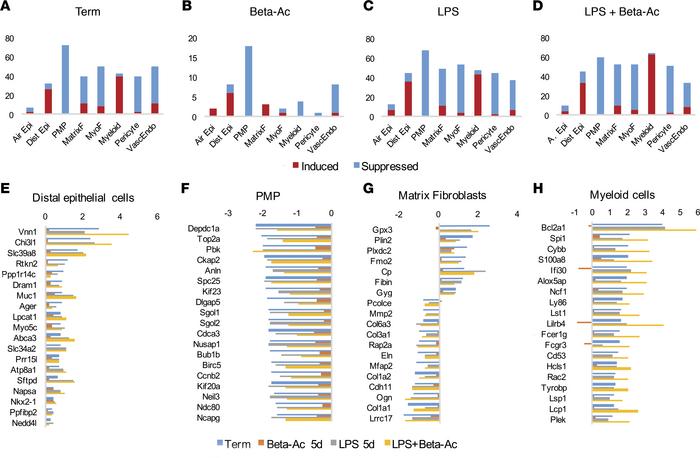 Prenatal inflammation induces mesenchymal and epithelial cell differenti...