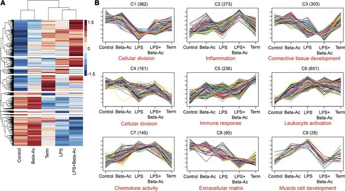 Differential expression and clustering analyses show the effects of intr...