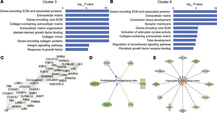 Intraamniotic LPS and Beta-Ac interact to augment suppression of mesench...