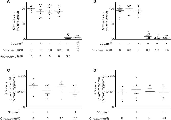 Photo- and cytotoxicity of 1D9-700DX against HeLa cells.
(A–D) HeLa cell...