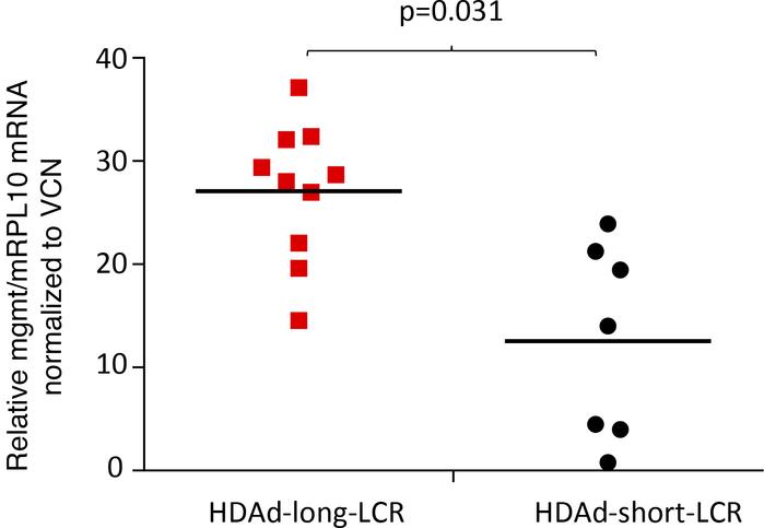 mgmtP140K mRNA expression levels in bone marrow MNCs at week 16 after in...