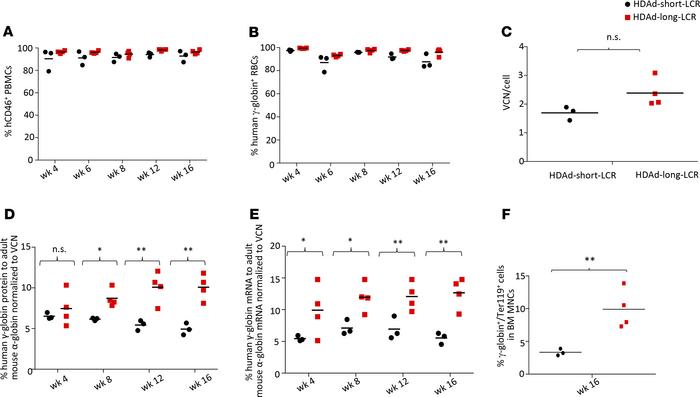 Analysis of secondary recipients.
Bone marrow Lin– cells harvested at we...