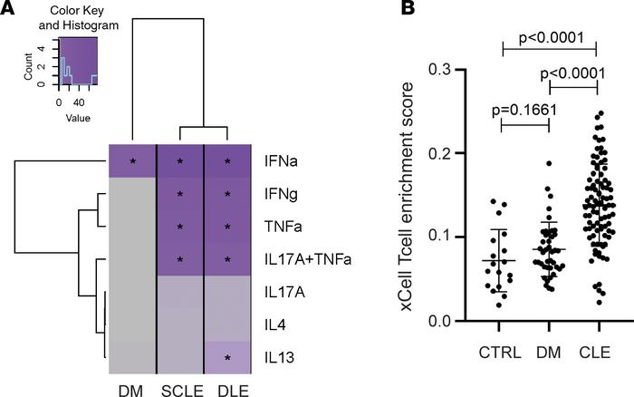 DM exhibits fewer T cell–related genes compared with CLE.
(A) Heatmap of...
