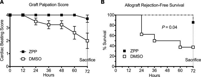 PE inhibition preserves allograft function and improves rejection-free s...