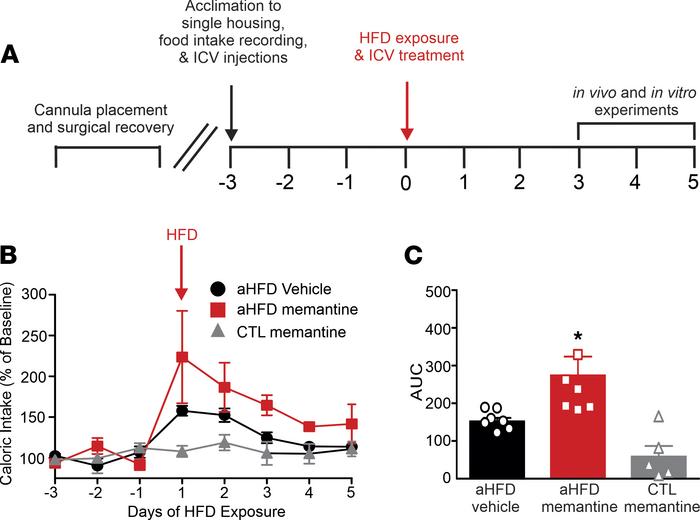Homeostatic regulation of caloric intake during aHFD exposure is attenua...