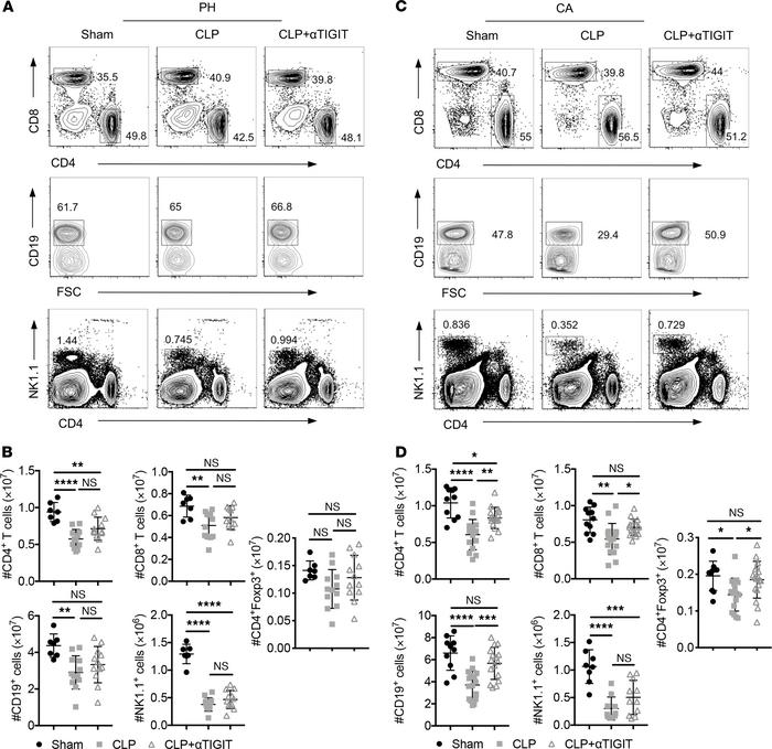 Anti-TIGIT mAb administration reversed lymphopenia in CA septic mice but...