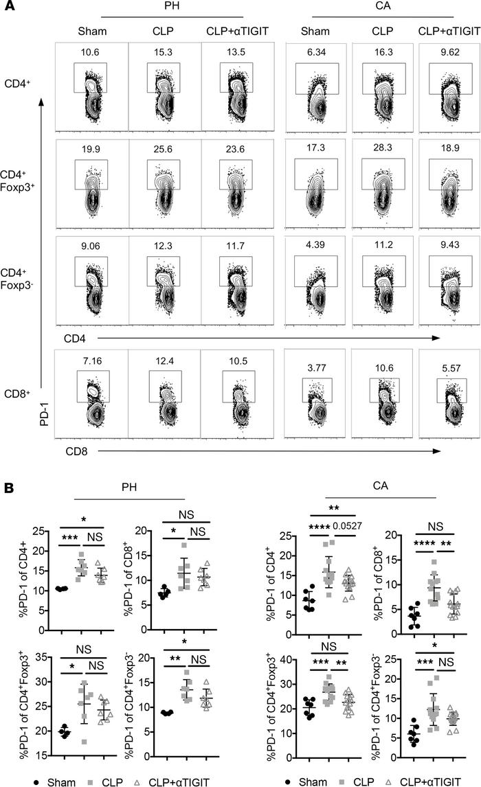 Anti-TIGIT mAb resulted in decreased expression of PD-1 on T cells in CA...