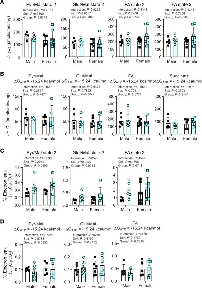 CKD does not alter skeletal muscle mitochondrial H2O2 production or elec...
