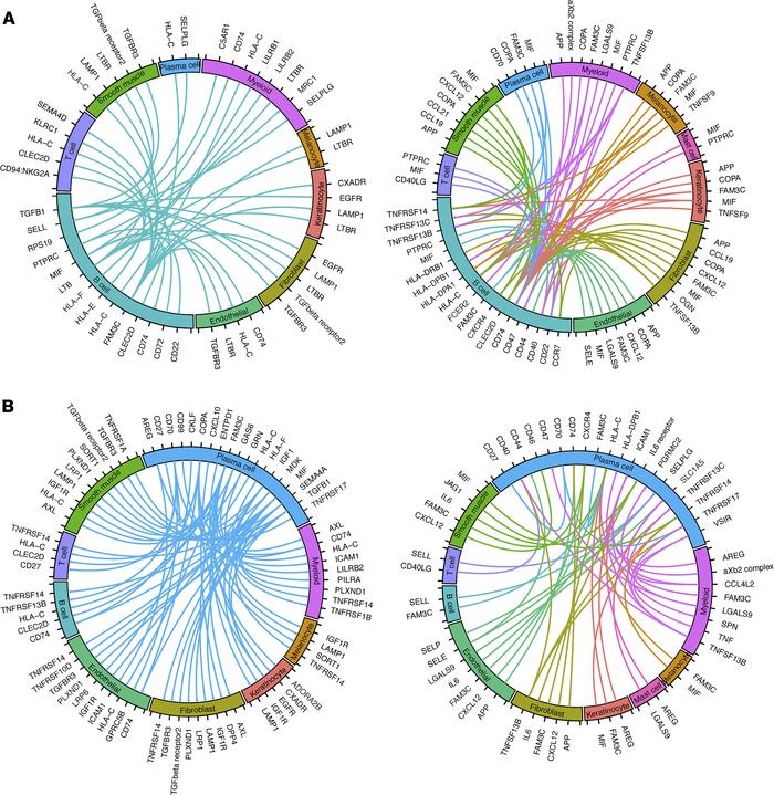 Interactions of B cells and plasma cells with HS microenvironment.
Data ...