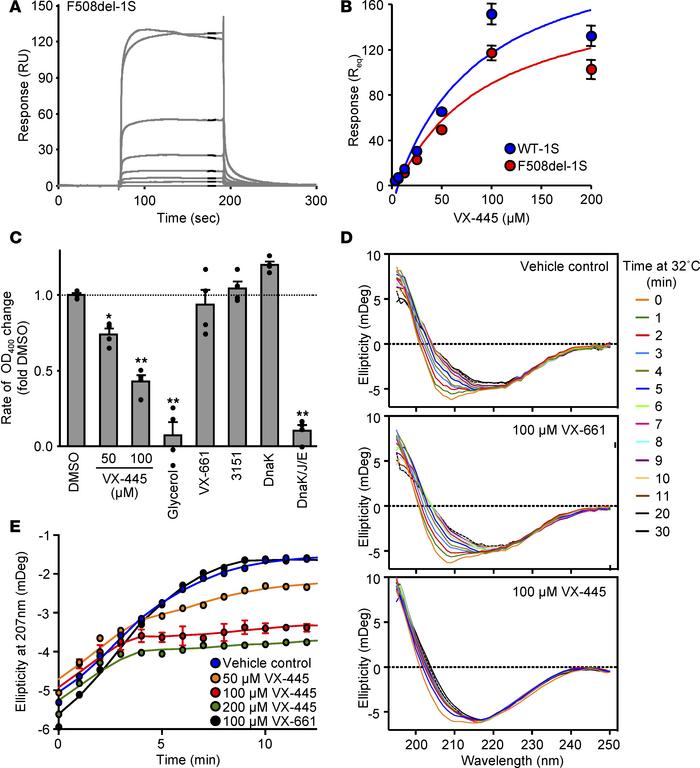 VX-445 binds to and changes the unfolding trajectory of CFTR-NBD1.
(A) R...