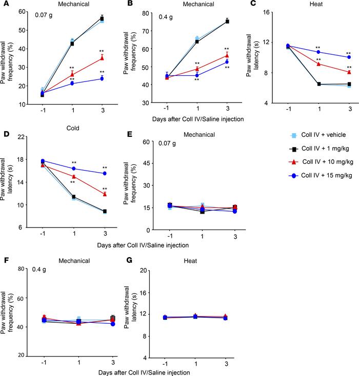 Dose-dependent effect of systemic tail vein administration of TL02-59 on...