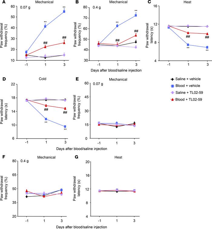 Effect of systemic tail vein administration of TL02-59 on autologous blo...