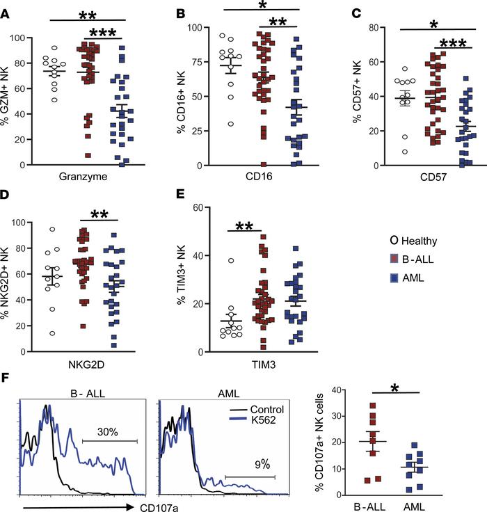 Changes in BM NK cells.
(A–E) Expression of granzyme (GZM) (A), CD16 (B)...