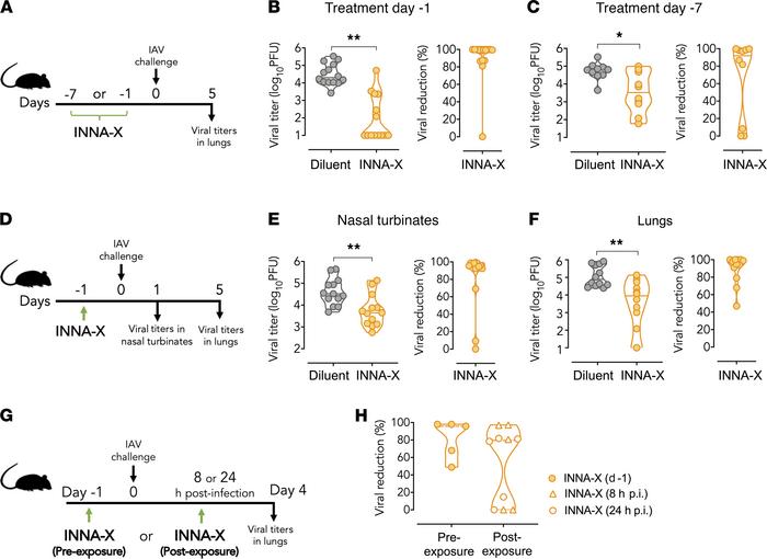 Inhibition of viral replication in the respiratory tract after administr...