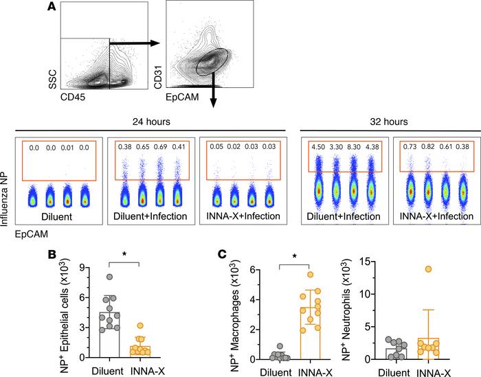 In vivo protection of nasal epithelial cells after viral challenge of mi...