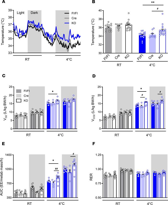 AT-ABHD6–KO mice show elevated energy expenditure under cold and are res...