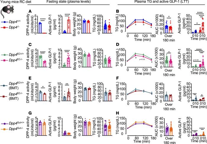 Genetic elimination of Dpp4 globally or in endothelial and hematopoietic...