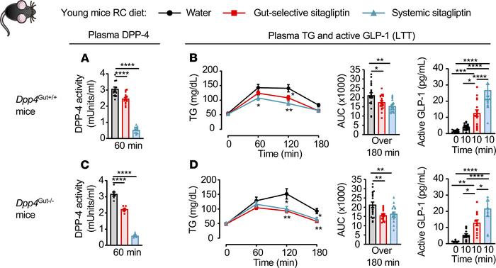 Enterocyte DPP-4 is dispensable for sitagliptin-mediated reduction of po...