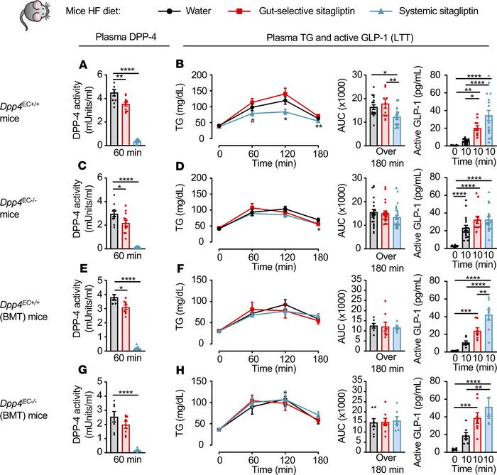 Lipid-lowering actions of sitagliptin are attenuated in HFD-fed Dpp4EC–/...