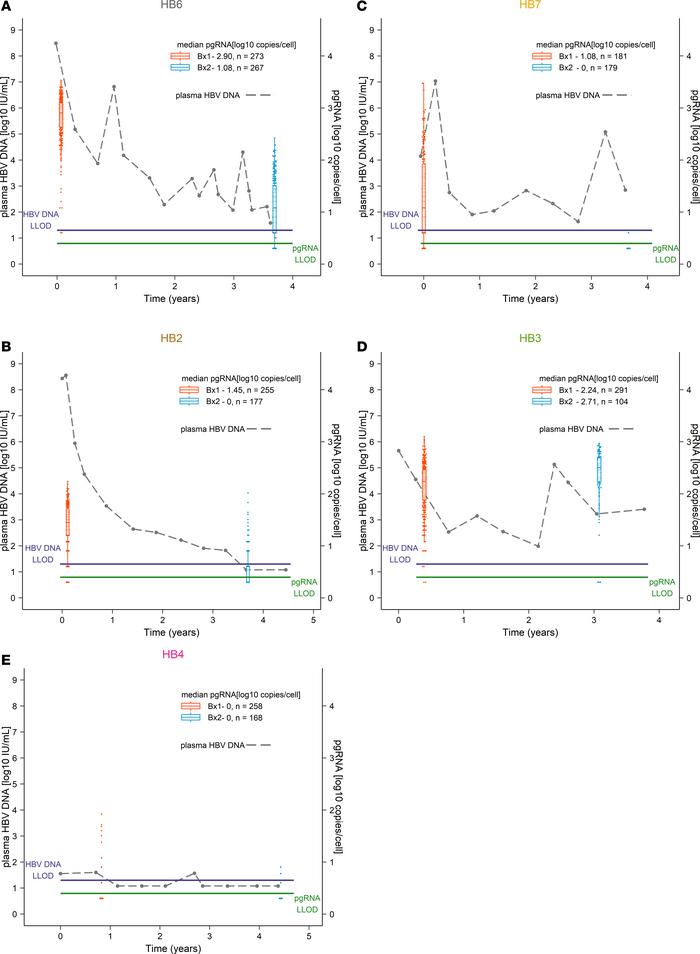 Virologic control of HBV with NUCs is accompanied by reduced transcripti...