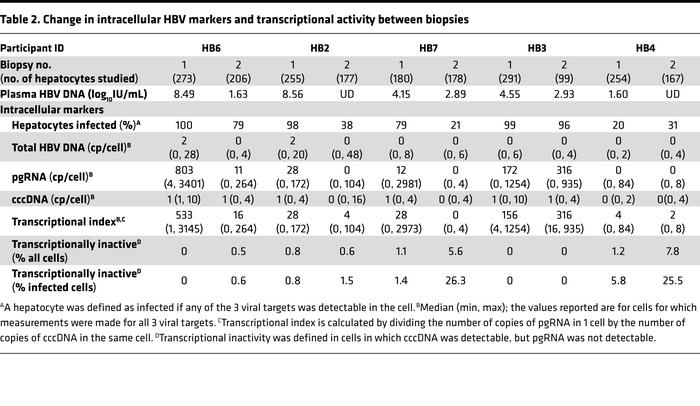 Change in intracellular HBV markers and transcriptional activity between...