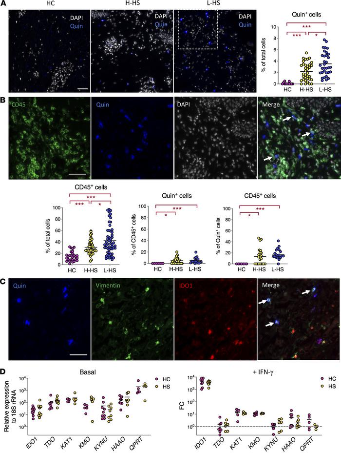 Immune infiltrates and dermal fibroblasts jointly contribute to Quin pro...