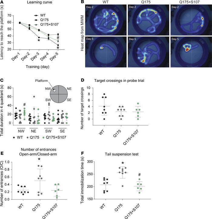 Long-term learning and memory deficits in Q175 mice.
S107 treatment targ...