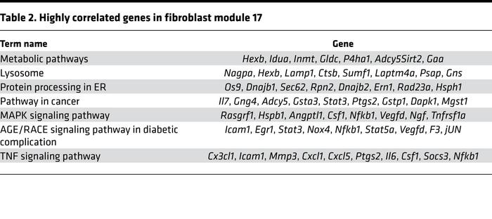 Highly correlated genes in fibroblast module 17