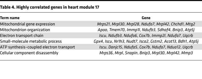 Highly correlated genes in heart module 17