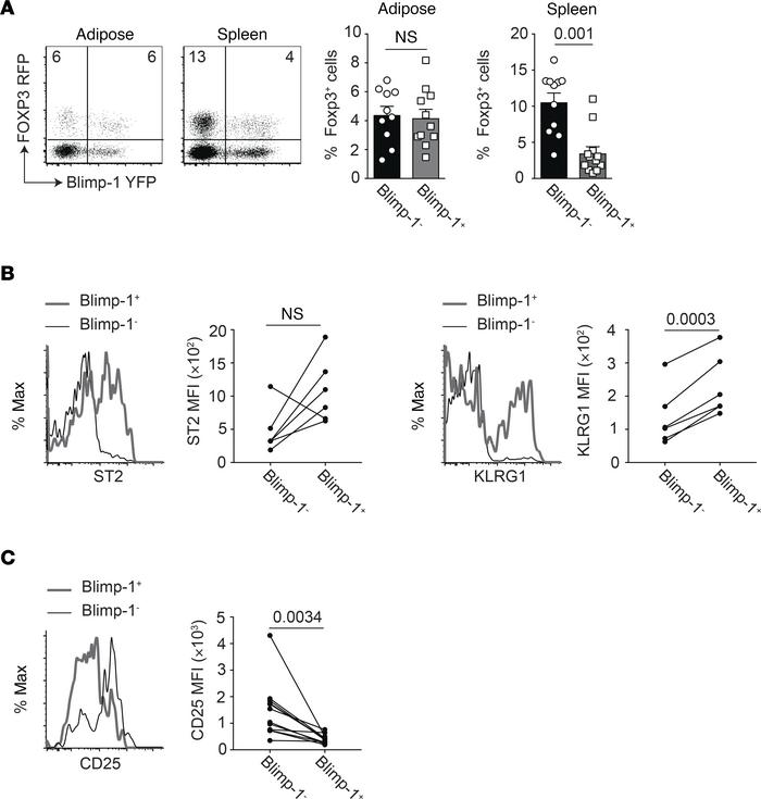 Blimp-1 expression in Tregs from the VAT and spleen.
Cells were isolated...