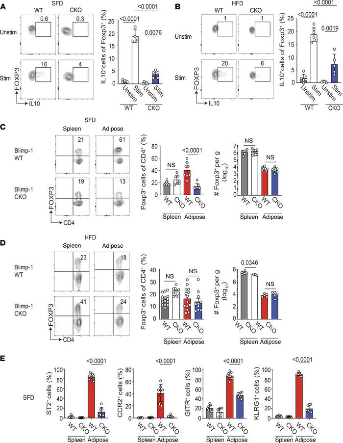 Loss of Blimp-1 expression in VAT Tregs decreases IL-10 secretion and Tr...