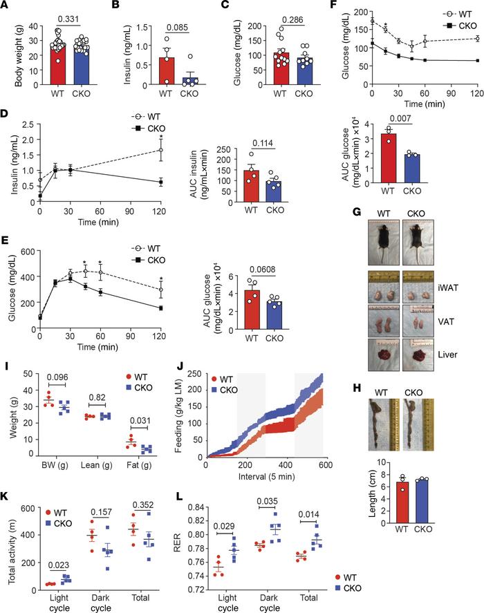 Loss of Blimp-1 expression by Tregs decreases fat mass and increases ins...