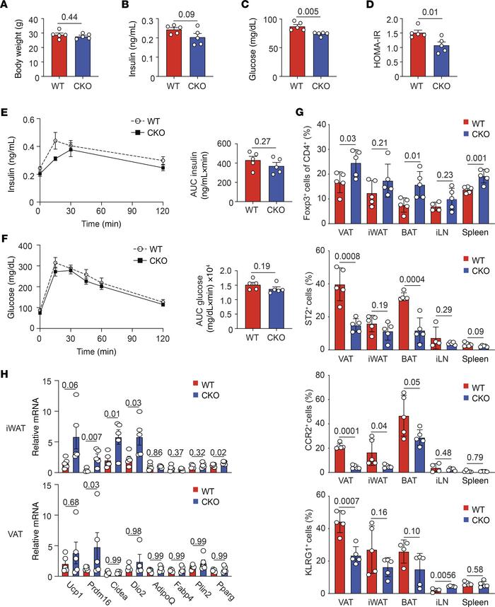 Blimp-1 deficiency on short-term HFD is protective and increases beige g...