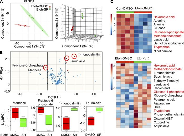 Treatment with REV-ERBα agonist SR9009 partially restored the dysregulat...