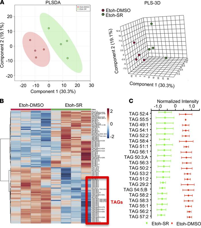 REV-ERBα agonist SR9009 treatment reduced hepatic TAGs in lipidomic prof...