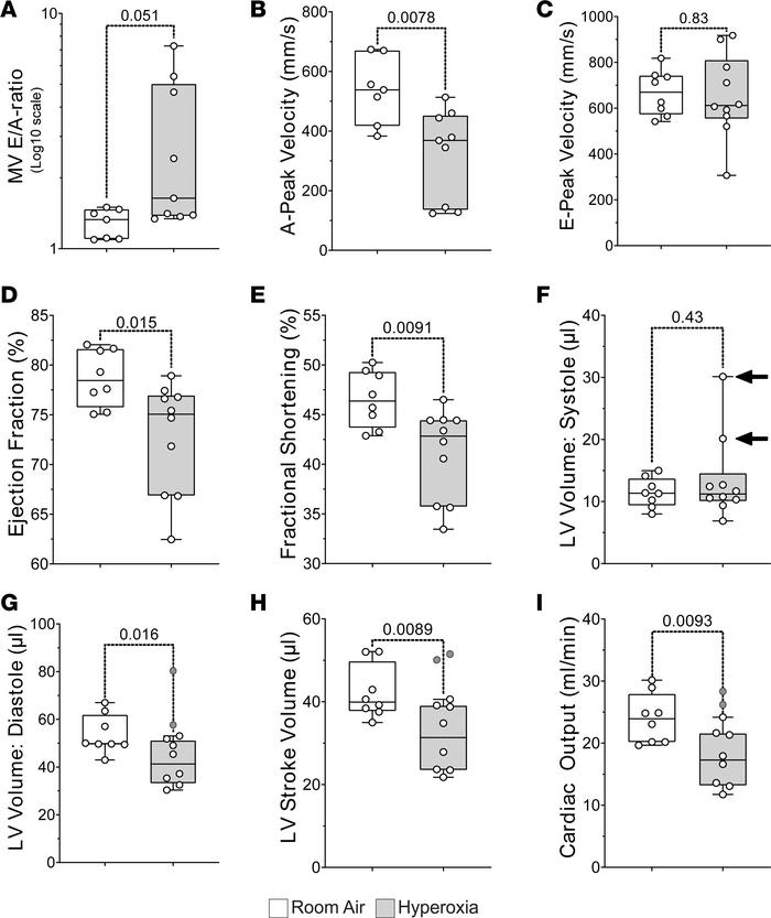 Neonatal hyperoxia causes mice to develop dilated heart failure later in...