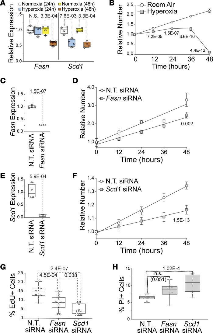 Suppression of fatty acid synthesis contributes to reduced HL-1 cell pro...