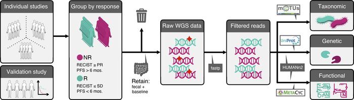 Meta-analysis workflow.
In brief, fecal MGS data at baseline from 4 stud...