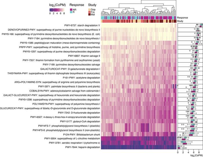 Alterations in the functional potential of the gut microbiome between re...