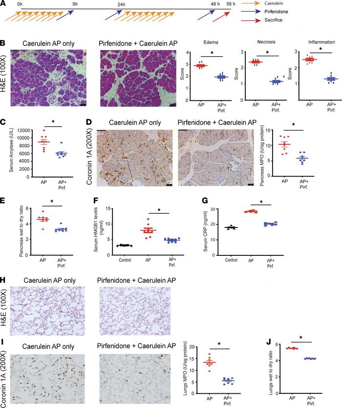 Therapeutic pirfenidone administration reduces local pancreatic injury a...