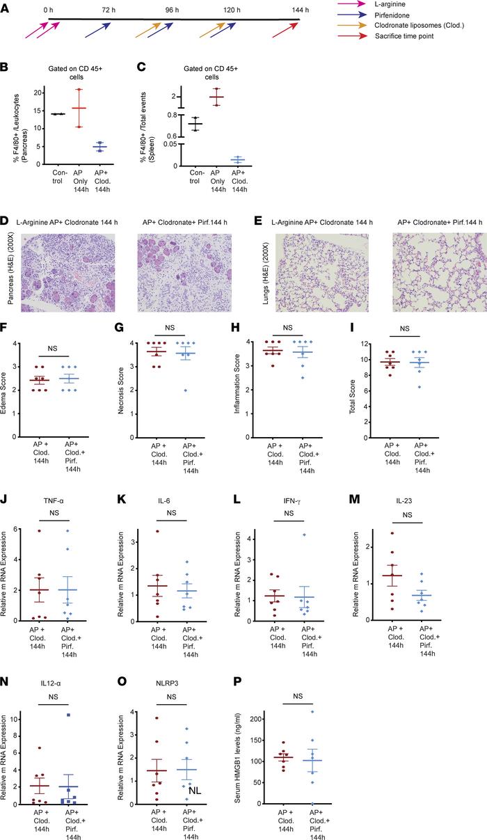 Depletion of macrophages with clodronate liposomes abrogates the benefic...